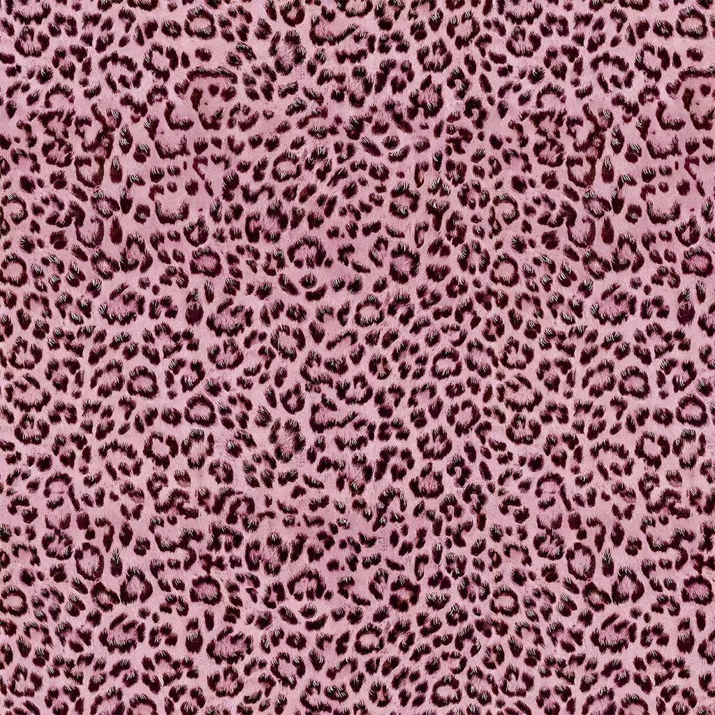 S5341c9412fbb4fada499458c48353842f