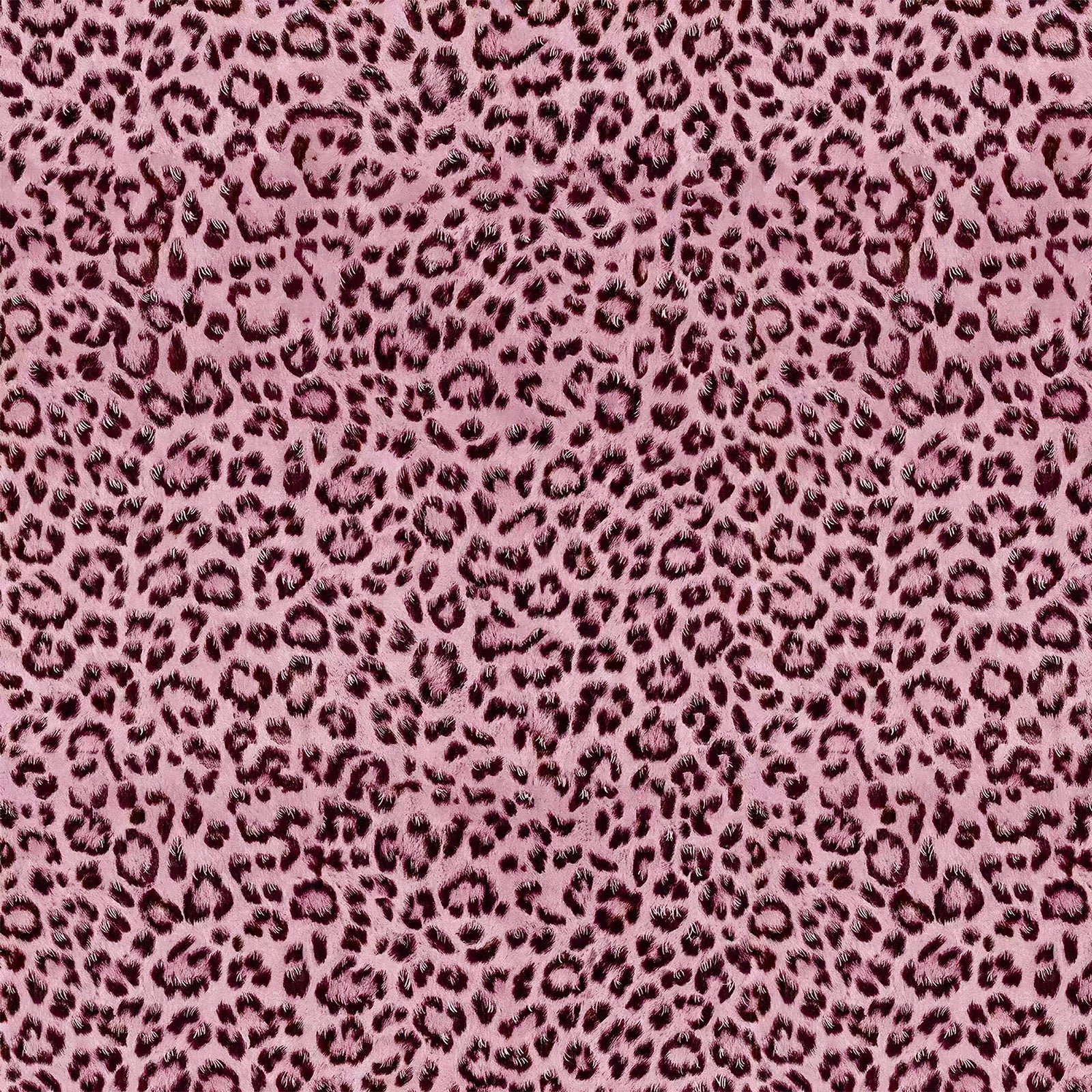 S5341c9412fbb4fada499458c48353842f