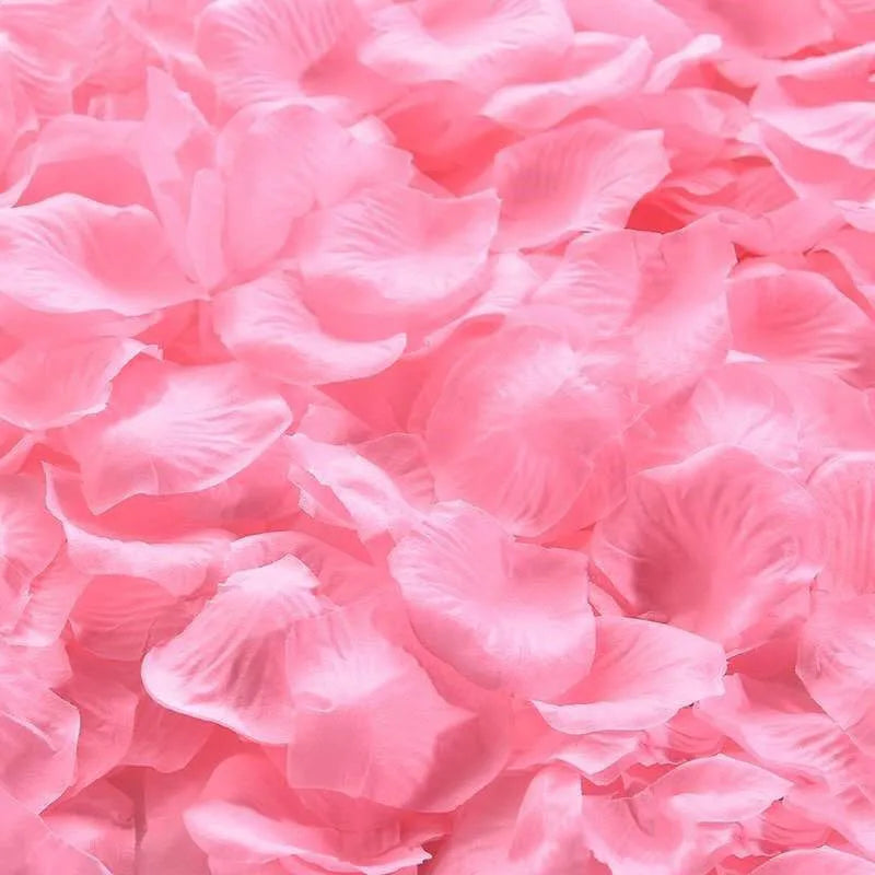 Sa2ba9960dc0647c0be3ed41ae2dacb56e